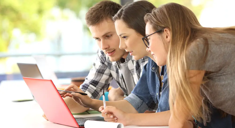 Study Program Study Program