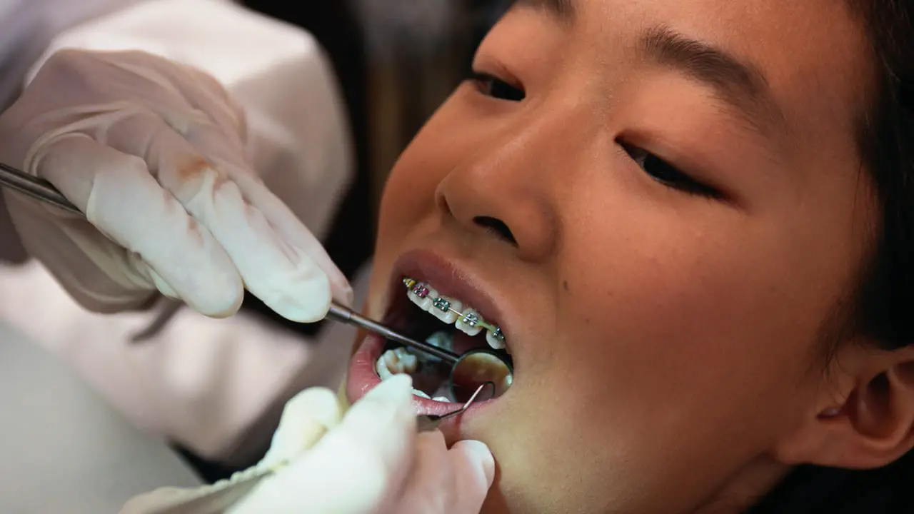 Best Colleges For Orthodontics