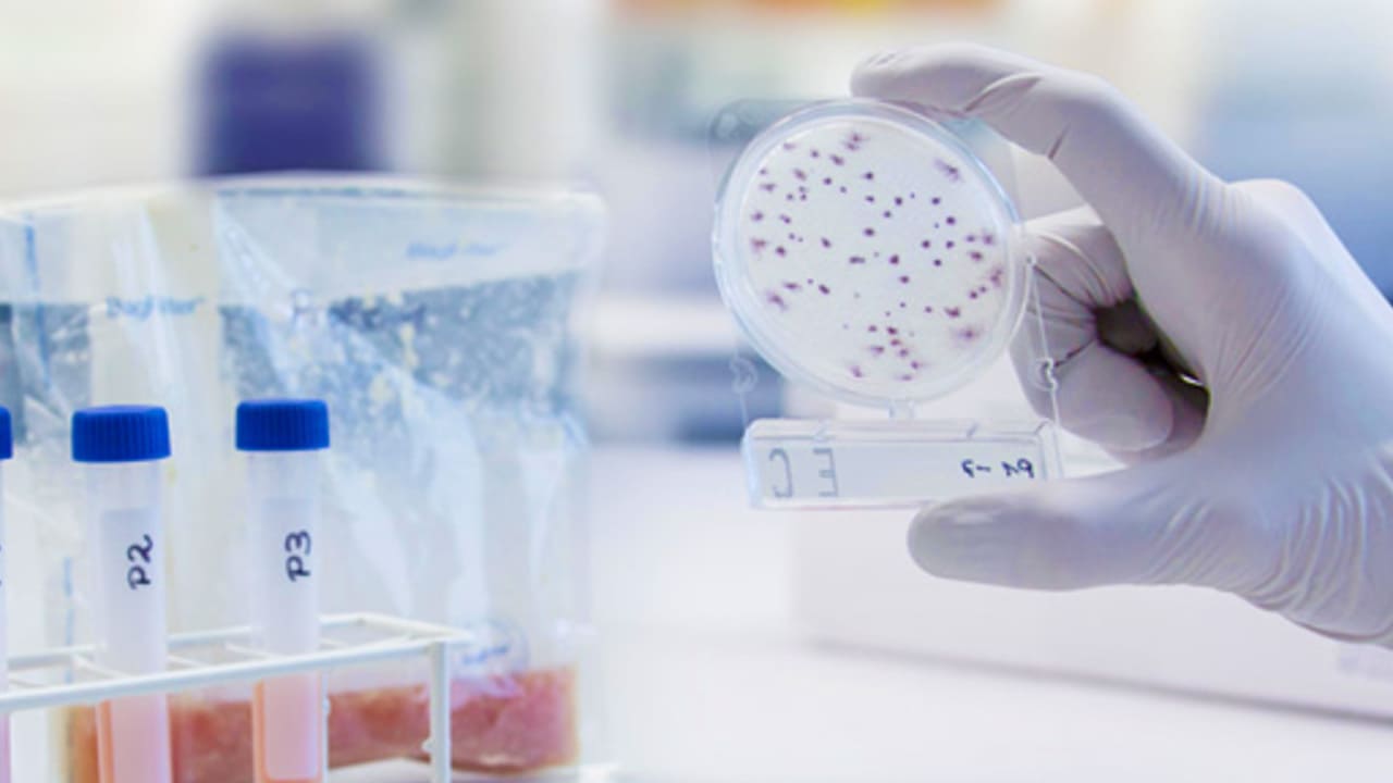 Best Colleges For Microbiology