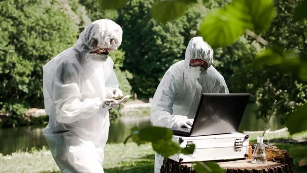 environmental studies
