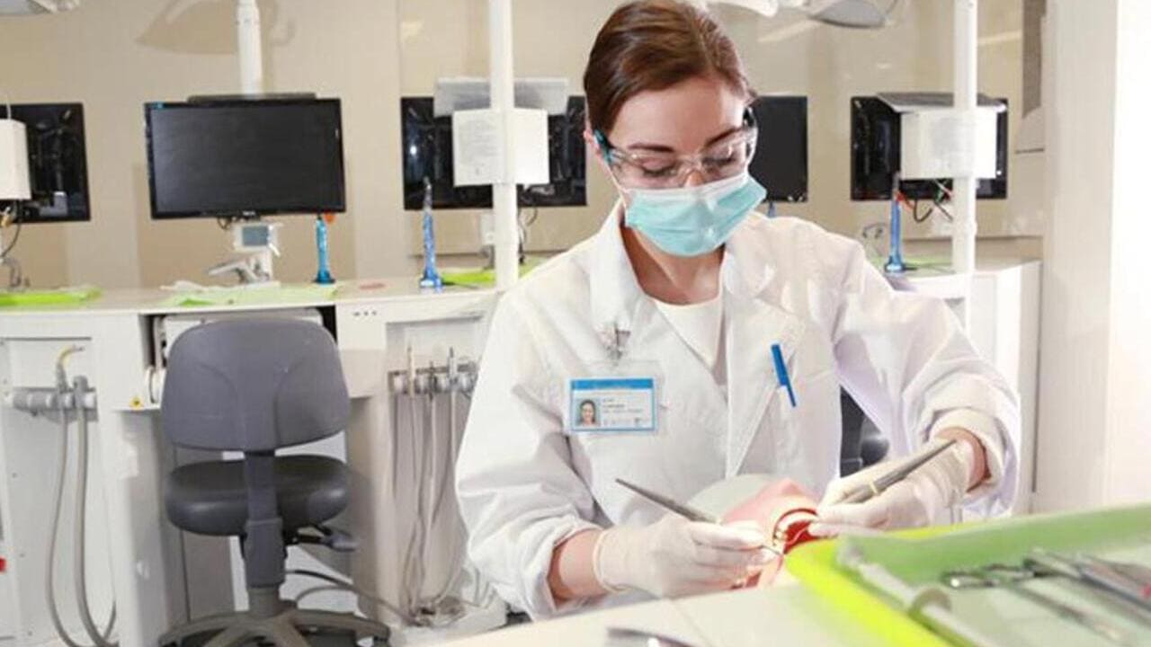 Best Dental Schools In The US
