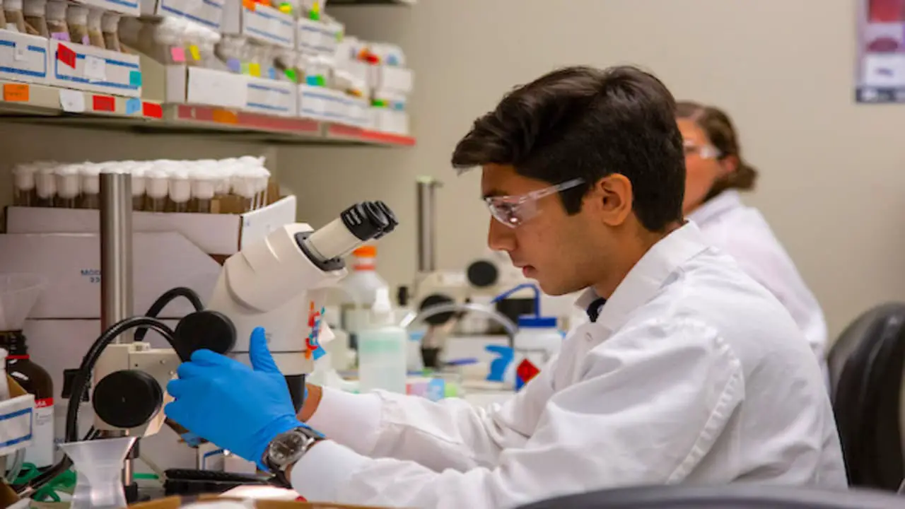 Best Research Internships for High School Students in India