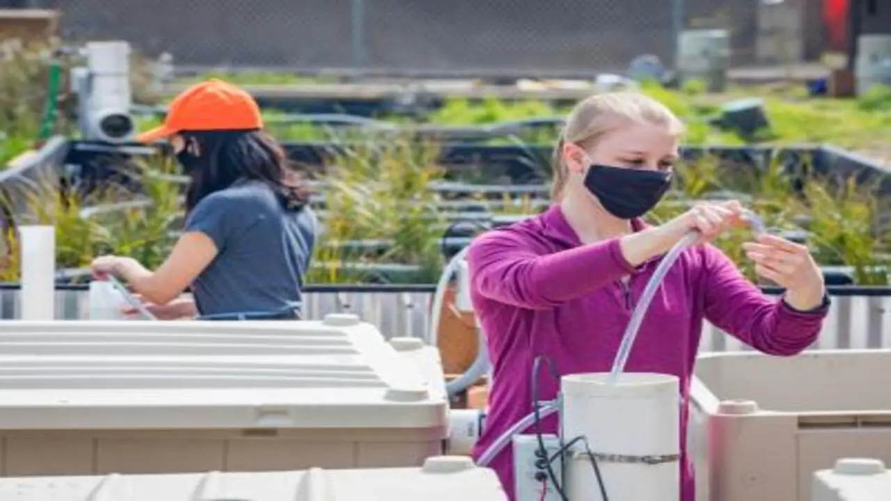 15 Best Colleges for Environmental Engineering